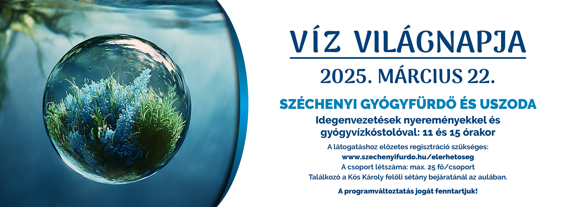 Víz Világnapja